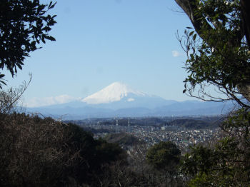きれいな富士山.jpg