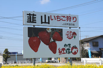 今年もやってきました.jpg
