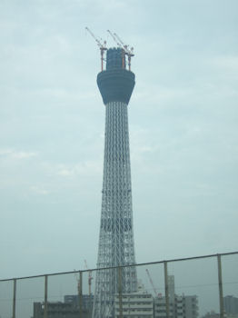 夕方のスカイツリー.jpg