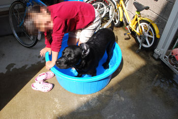 タライにつかる.jpg