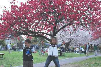桜の木の下で.jpg