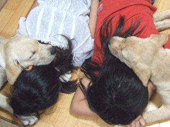 姉と犬.jpg