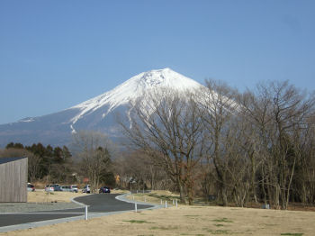 富士山を望む.jpg