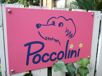 Peccoliniの看板.jpg